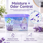 Air Fusion Lavender Vanilla Moisture Absorber & Odor Eliminator 14oz