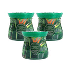 Air Fusion Caribbean Green Crystal Scented Beads Air Freshener 14 oz