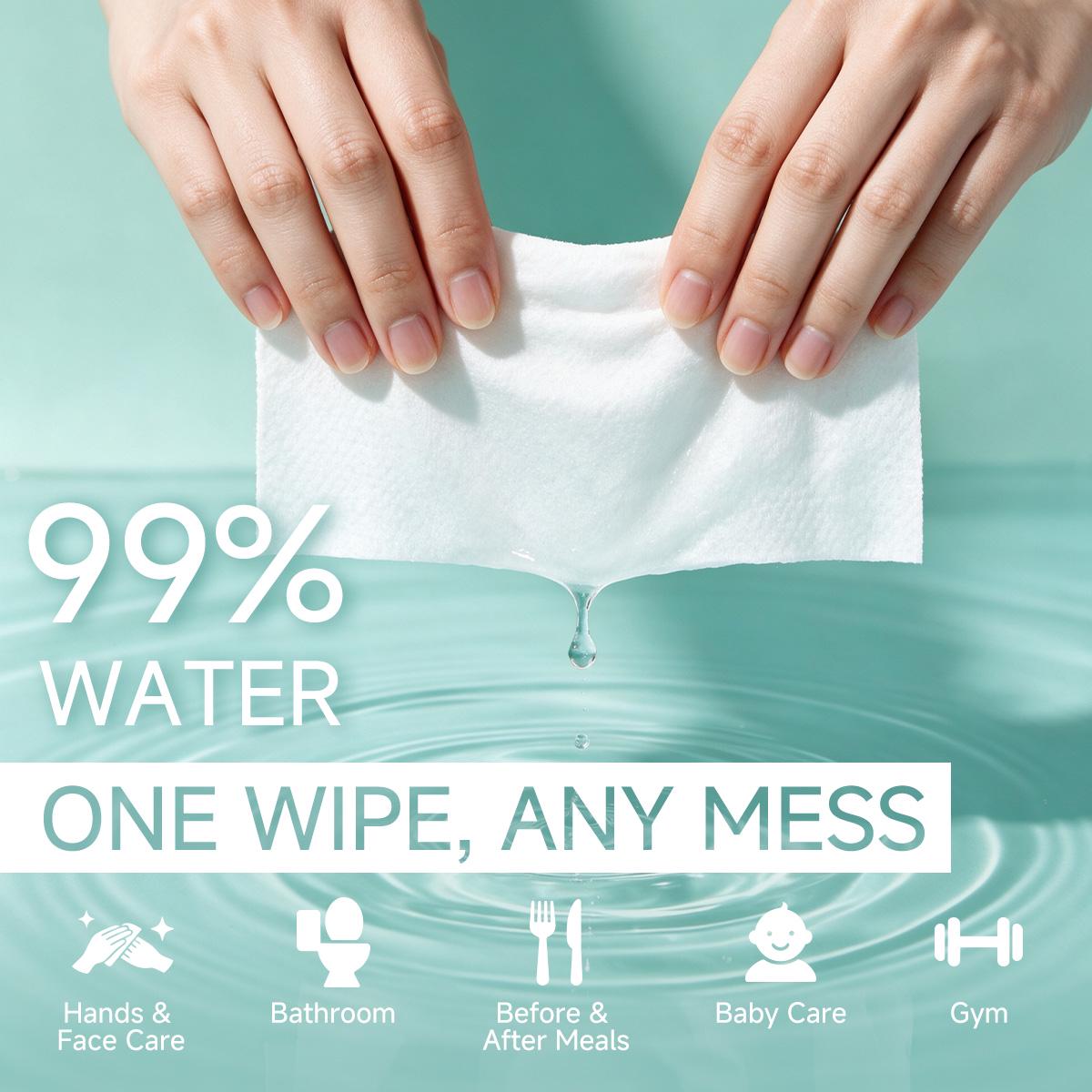Wish Eco Flushable Wipes, Fragrance Free, 50 Count per Pack