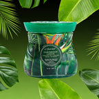 Air Fusion Caribbean Green Crystal Scented Beads Air Freshener 14 oz