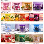 Air Fusion Apple Cinnamon Crystal Scented Beads Air Freshener 14 oz