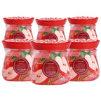 Air Fusion Apple Cinnamon Crystal Scented Beads Air Freshener 14 oz