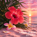 Air Fusion Tropical Sunset Crystal Scented Beads Air Freshener 14 oz
