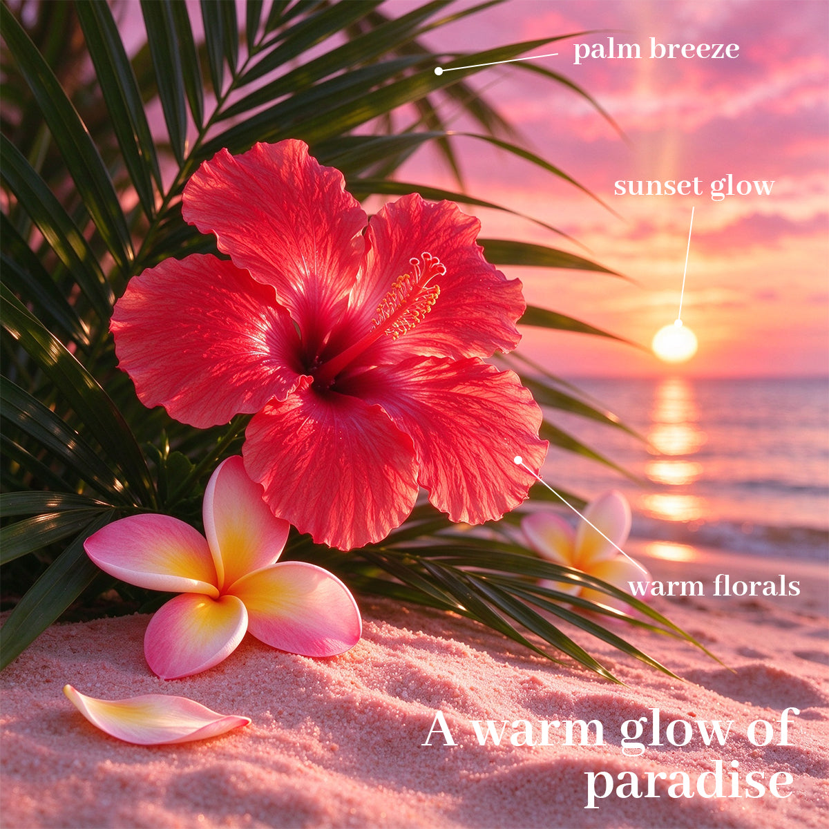 Air Fusion Tropical Sunset Crystal Scented Beads Air Freshener 14 oz