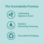 Scentabella Mallorca Breeze Body Wash 16.9 oz