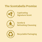 Scentabella Ronda Carameo Body Wash 16.9 oz