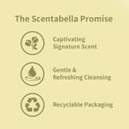 Scentabella Toledo Tango Body Wash 16.9 oz
